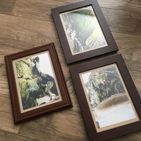 Three Modern Composite Wood Frame Lot With Canadian Moss Photos - Picture 2 of 9